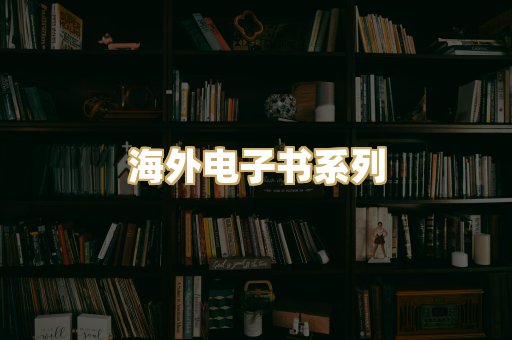 海外电子书系列